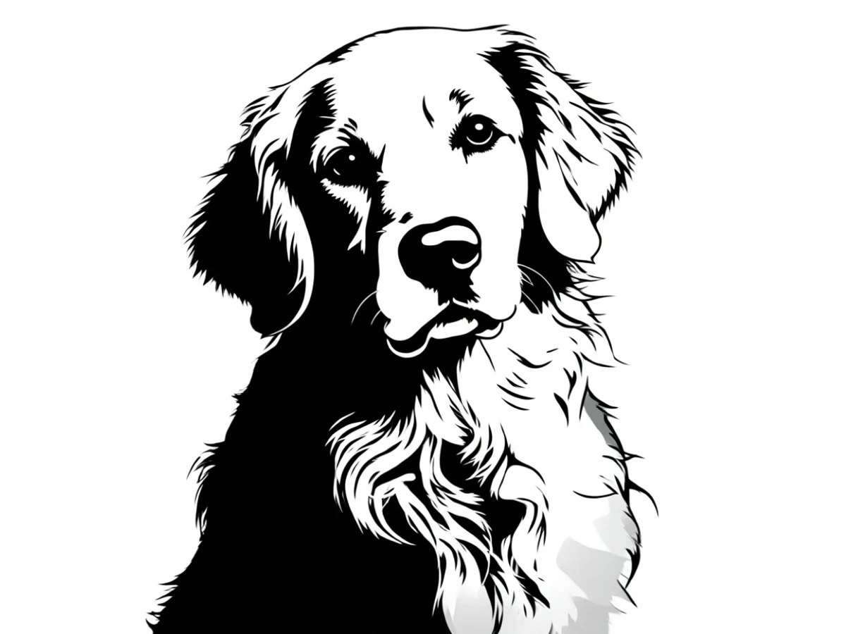 Pet — Keep the eyes, nose, ears and distinctive fur pattern. Simplify texture into clear shapes for a recognizable pet portrait.